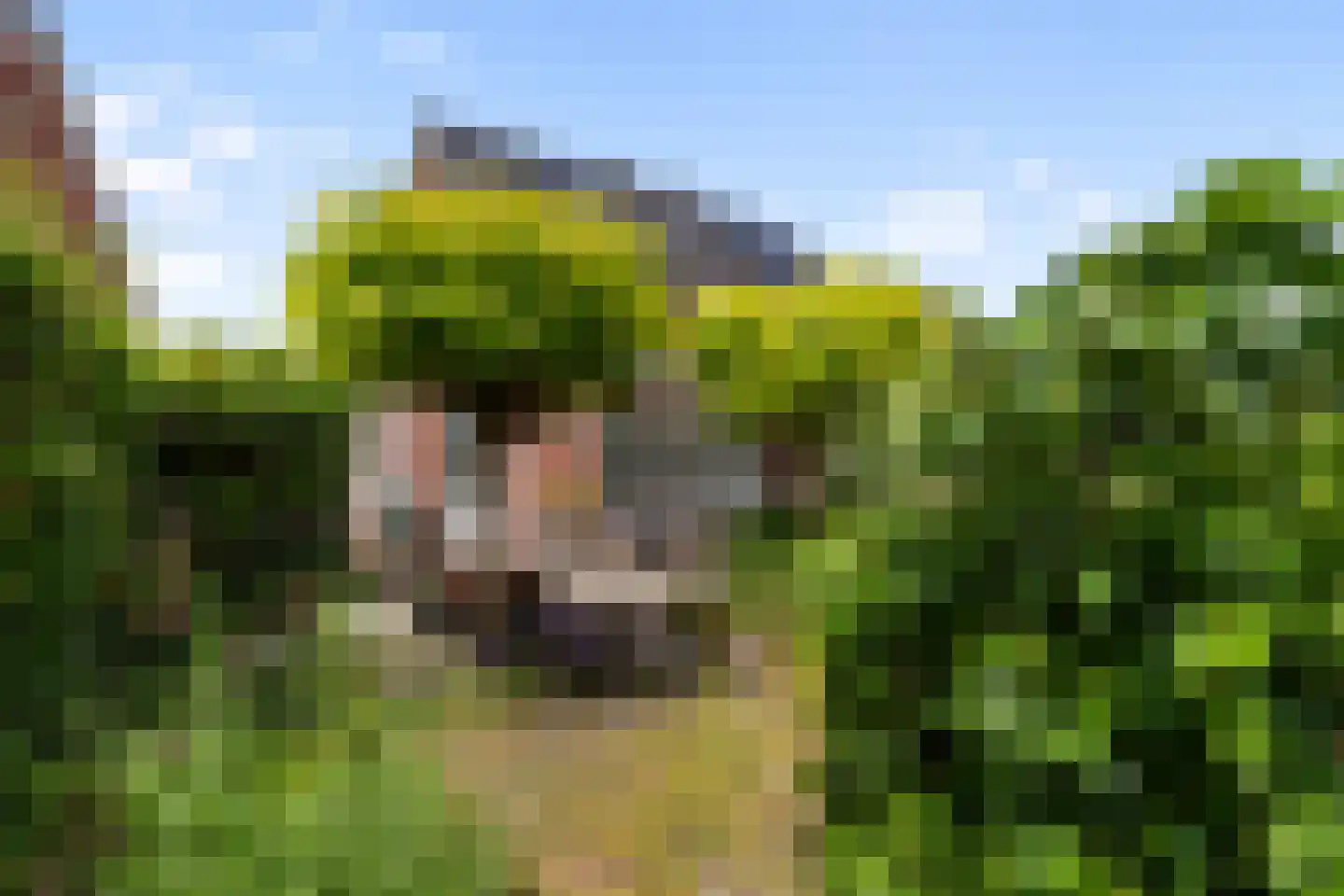 Alikruik 23 Noord-Scharwoude thumbnail 45