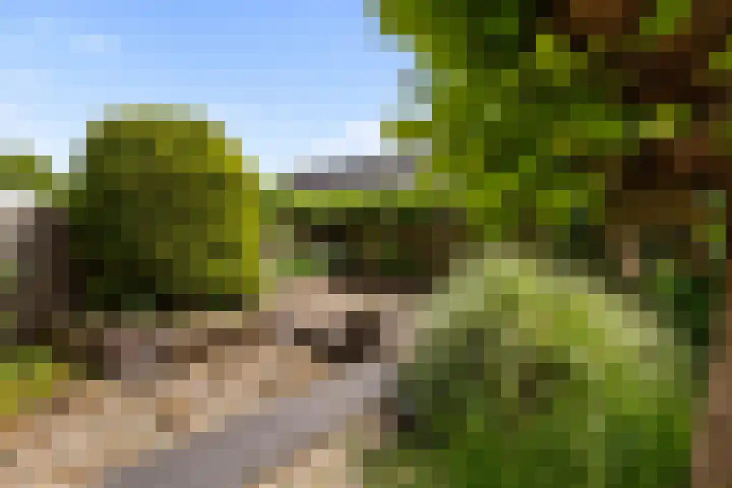 Alikruik 23 Noord-Scharwoude thumbnail 46