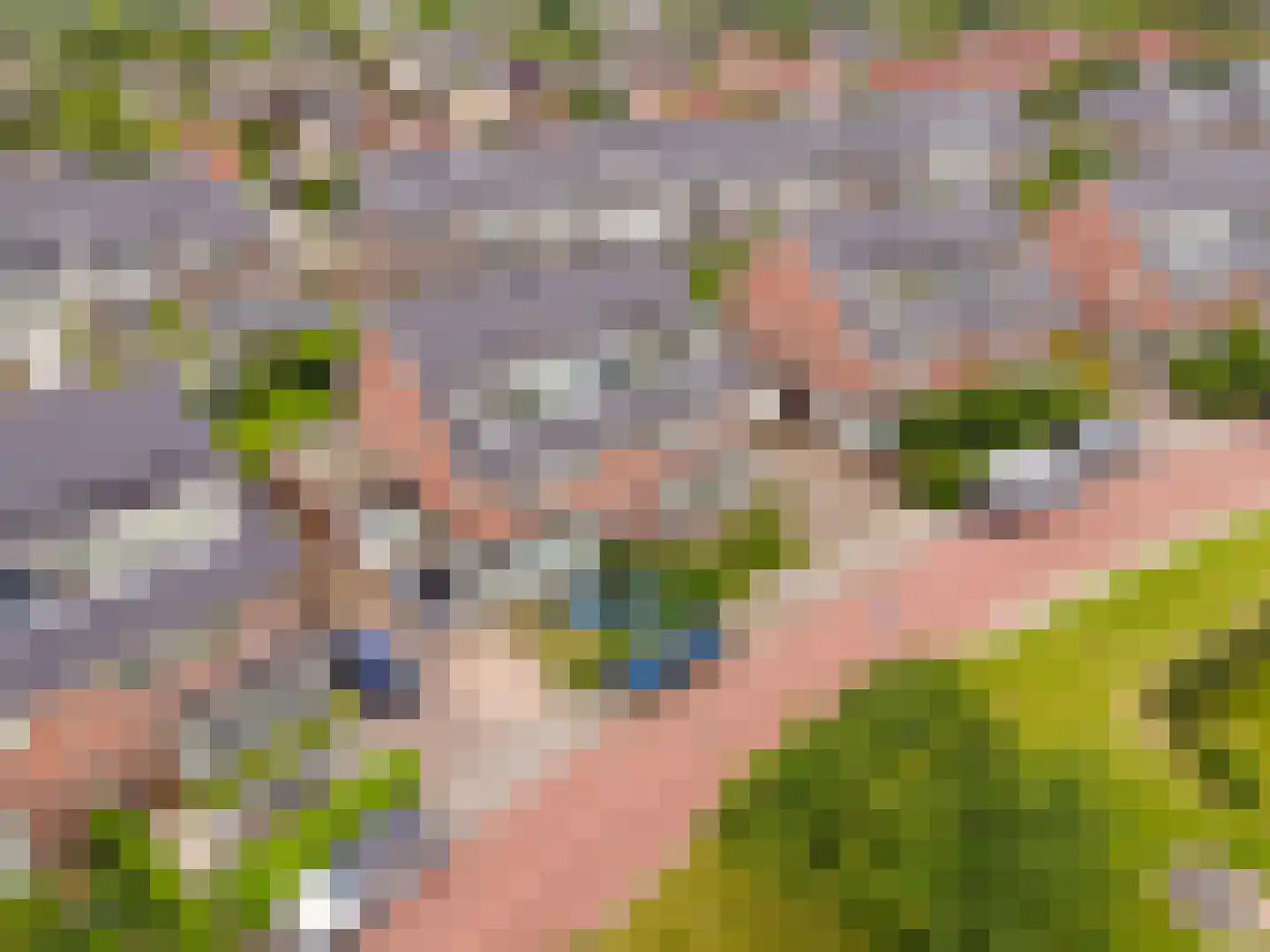 Alikruik 23 Noord-Scharwoude thumbnail 47