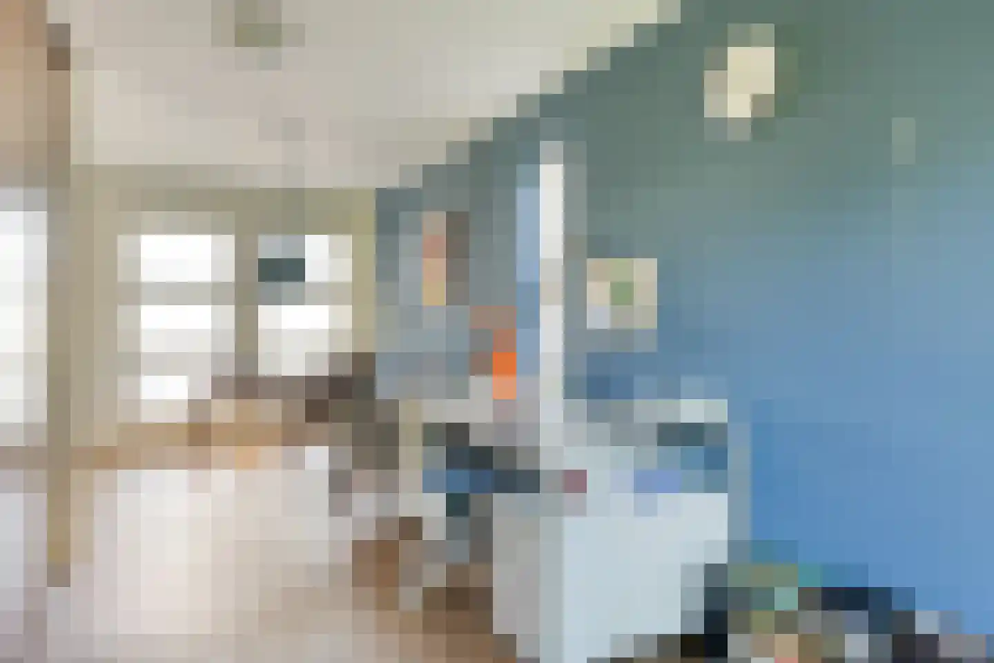 Alikruik 24 Noord-Scharwoude thumbnail 18