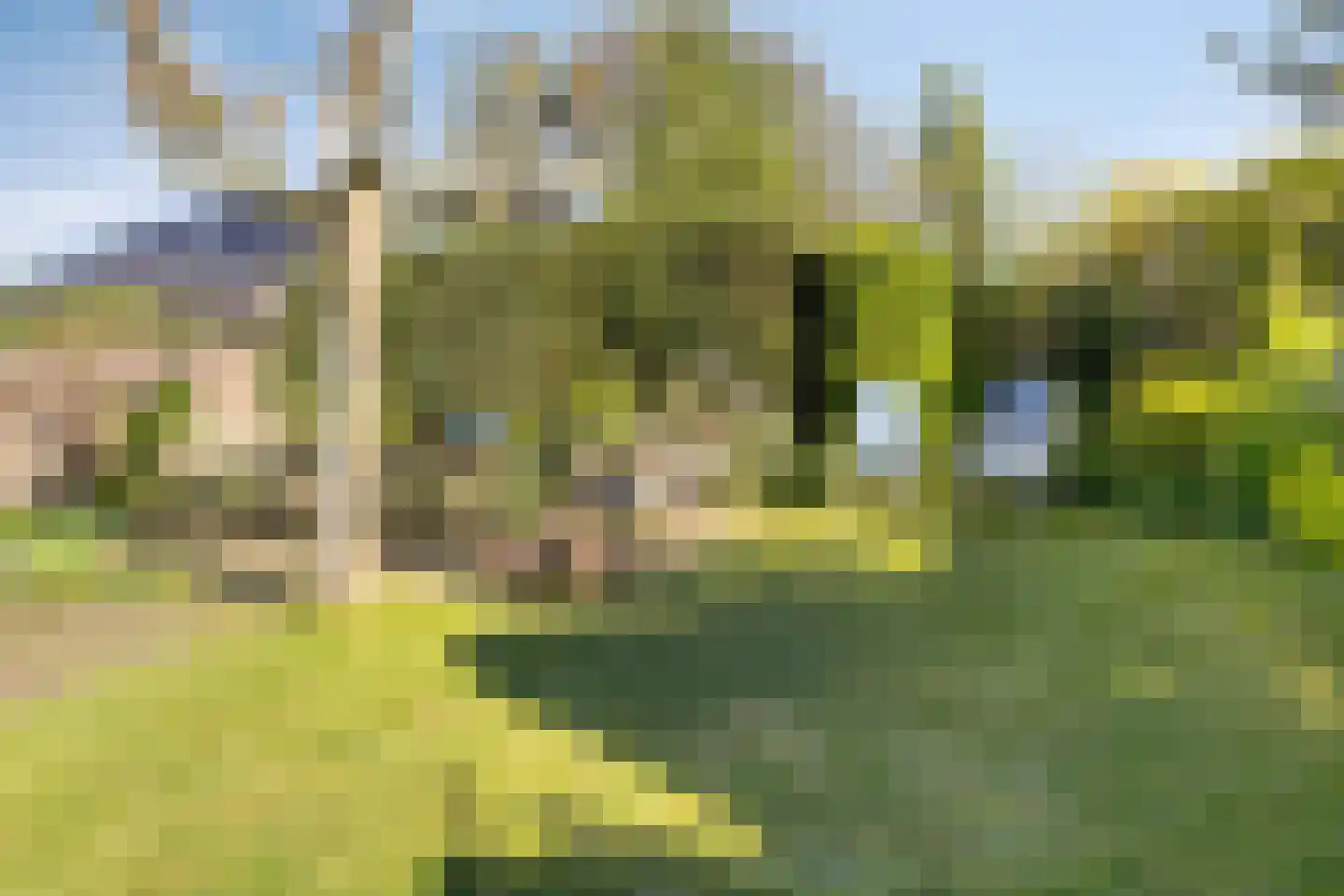 Alikruik 24 Noord-Scharwoude thumbnail 38