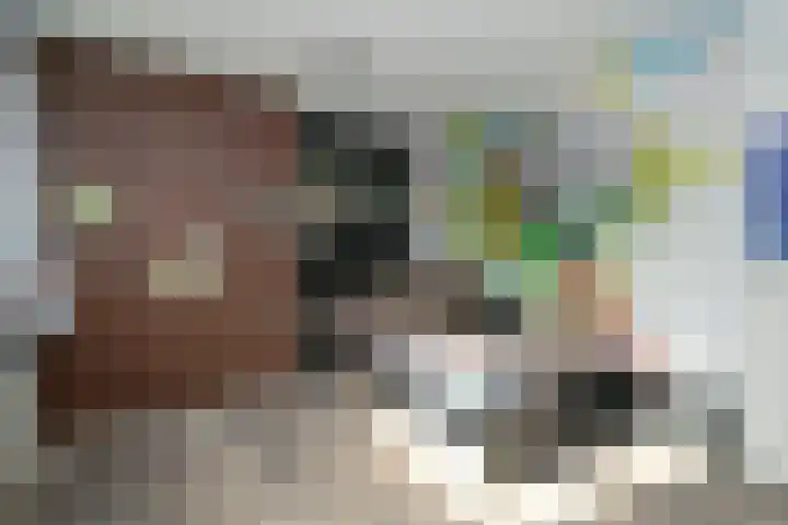 Alikruikhof 6 Den Haag thumbnail 16