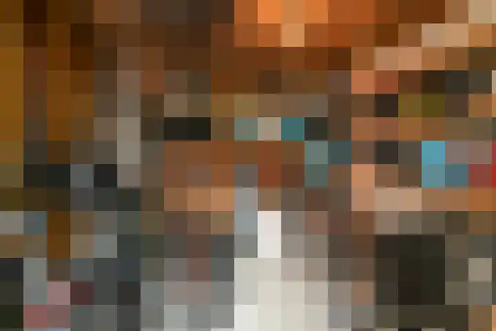 Alikruikhof 6 Den Haag thumbnail 25