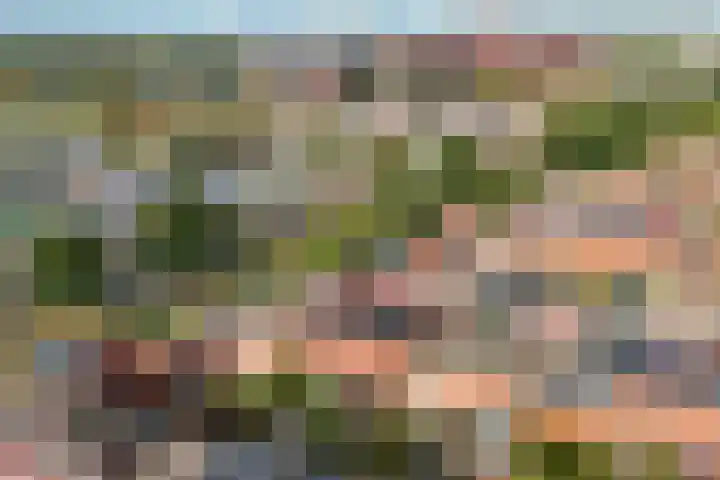 Alikruikhof 6 Den Haag thumbnail 27