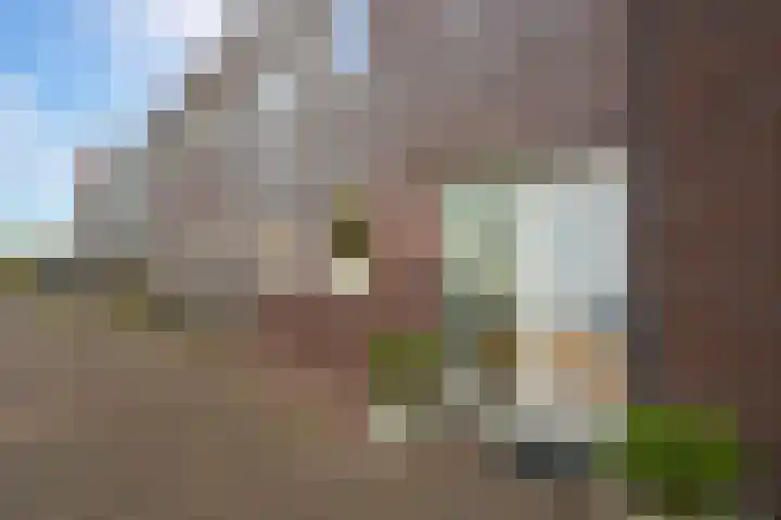 Alikruikhof 6 Den Haag thumbnail 30
