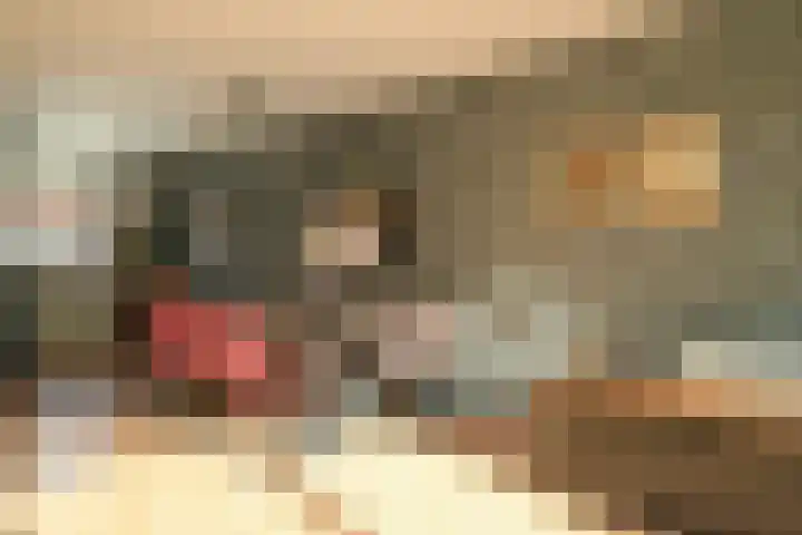 Alikruikhof 6 Den Haag thumbnail 36
