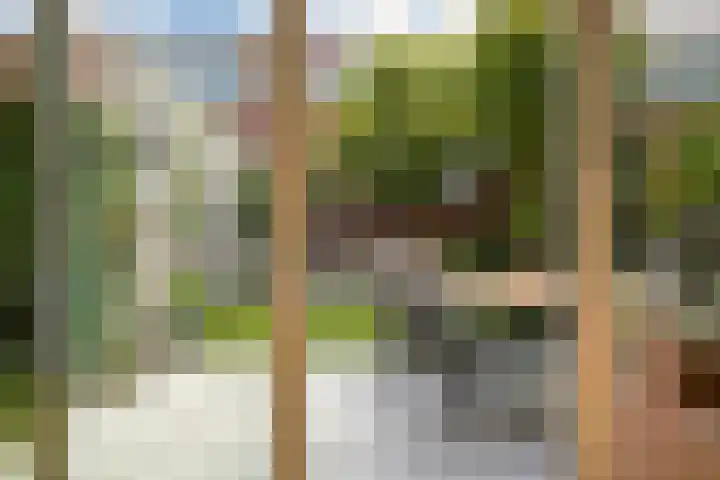 Alikruikhof 6 Den Haag thumbnail 42