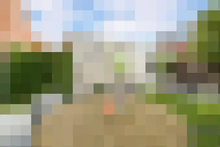 Alikruikhof 6 Den Haag thumbnail 43