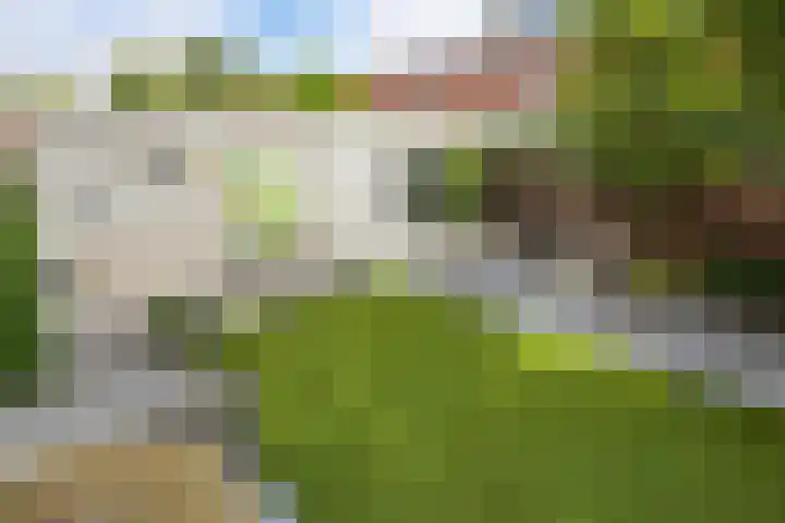 Alikruikhof 6 Den Haag thumbnail 44