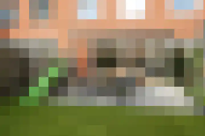 Alikruikhof 6 Den Haag thumbnail 46