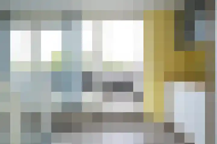 Alikruikhof 6 Den Haag thumbnail 49