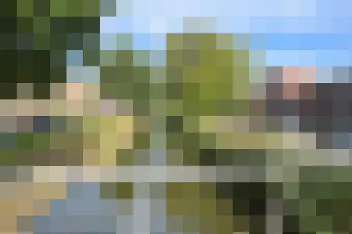 Alikruikhof 6 Den Haag thumbnail 52