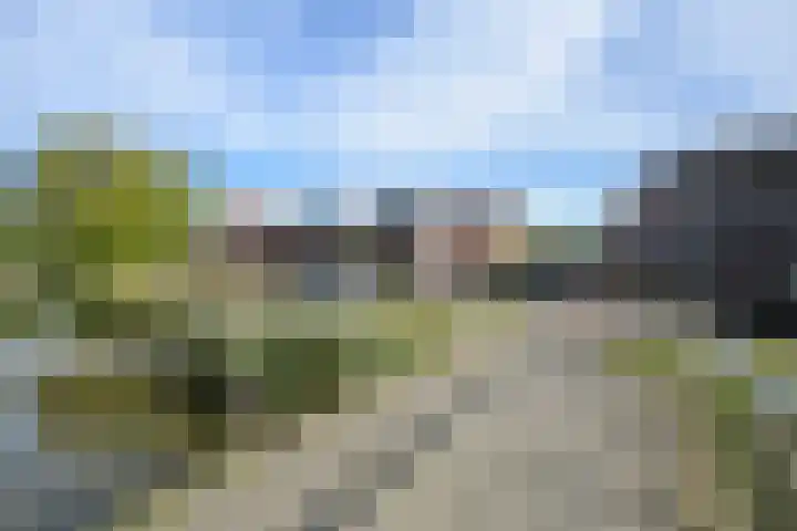Alikruikhof 6 Den Haag thumbnail 53