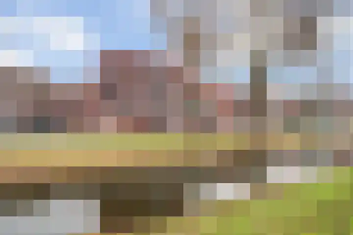 Alikruiksingel 3 in Den Haag