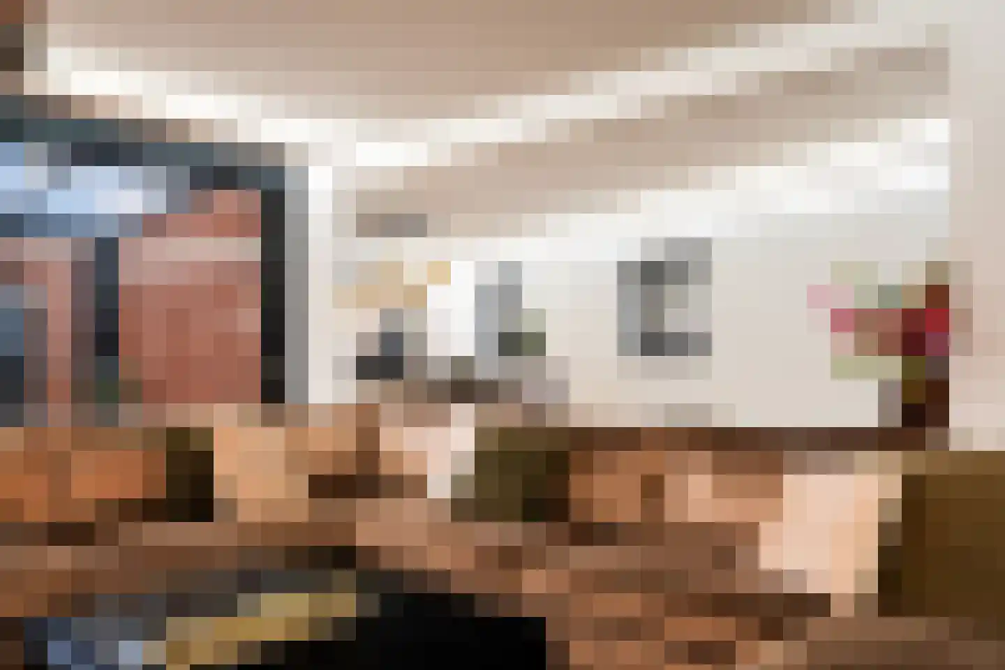 Alikruiksingel 3 Den Haag thumbnail 15