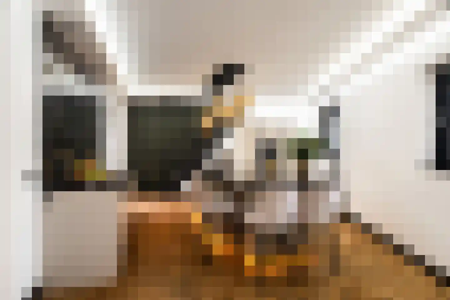 Alikruiksingel 3 Den Haag thumbnail 16