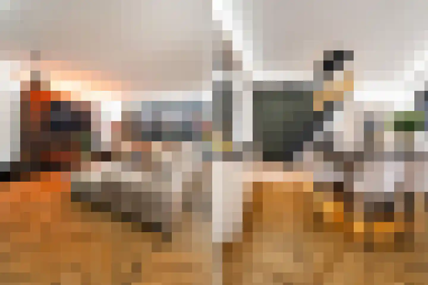 Alikruiksingel 3 Den Haag thumbnail 18