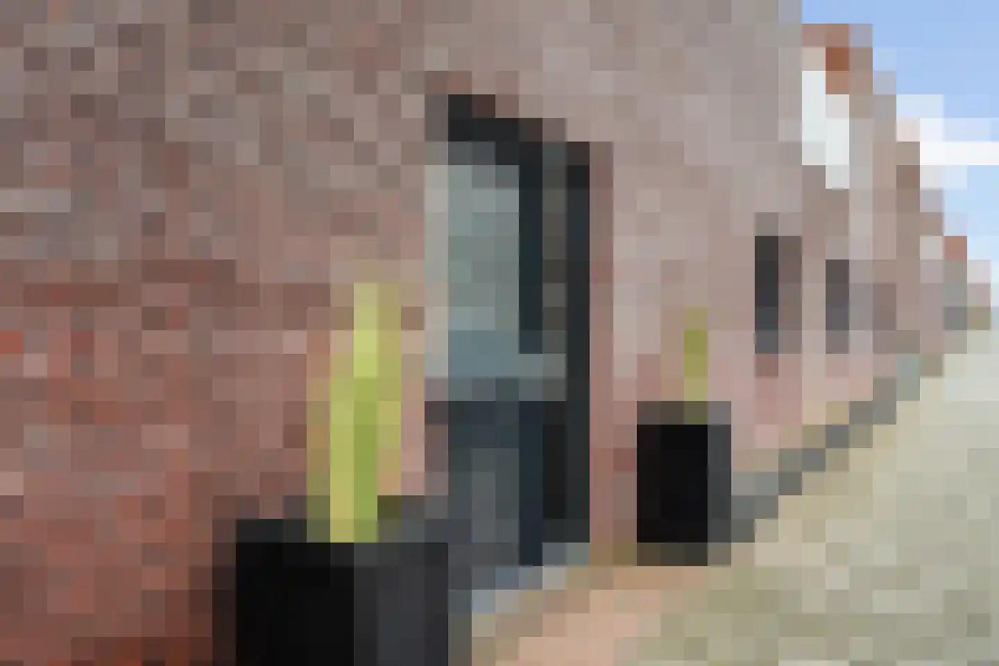 Alikruiksingel 3 Den Haag thumbnail 5