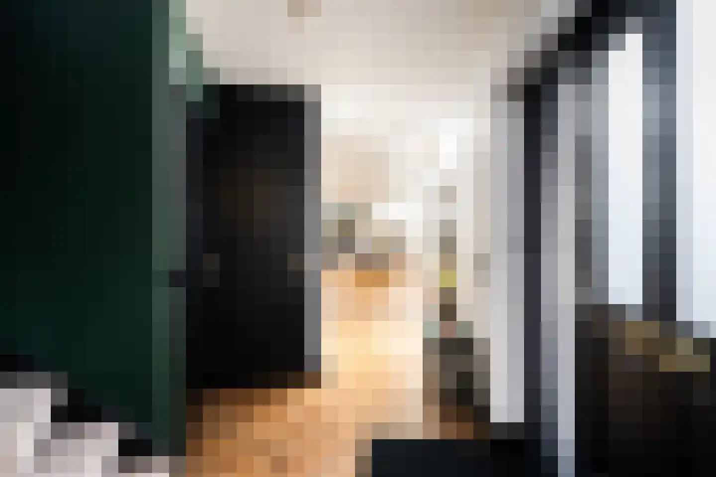 Alikruiksingel 3 Den Haag thumbnail 6