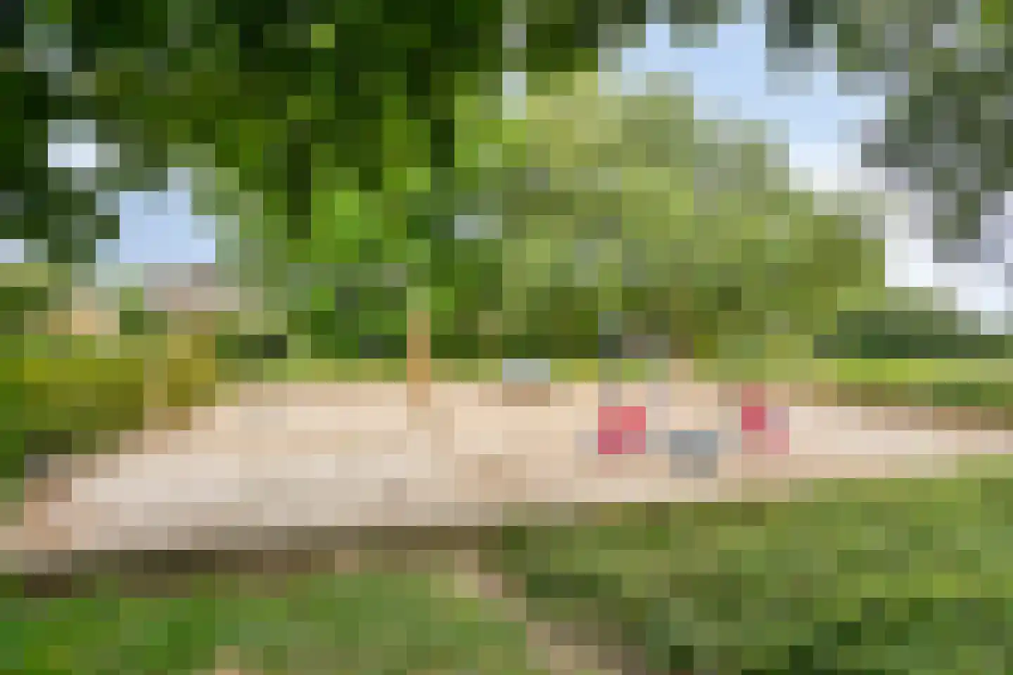 Alingcamp 26 Heeten thumbnail 45