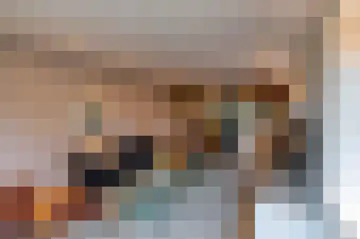 Alinghoek 4 Drouwen thumbnail 11