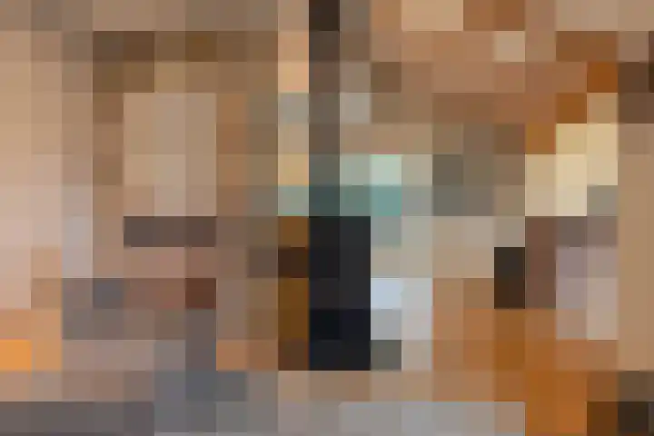 Alinghoek 4 Drouwen thumbnail 12