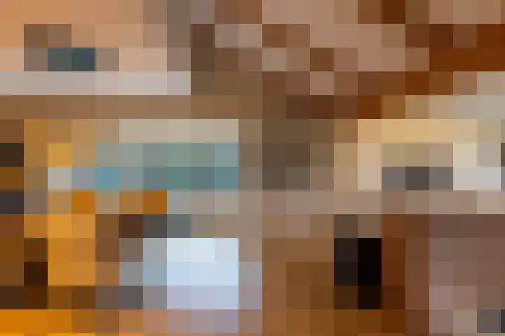 Alinghoek 4 Drouwen thumbnail 13