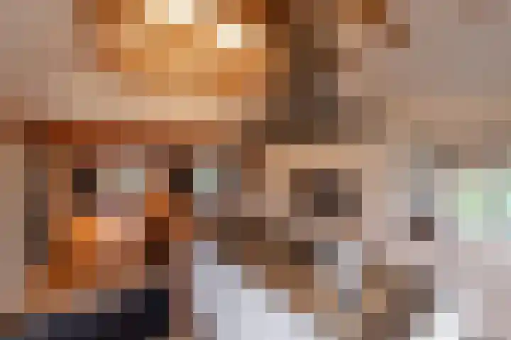 Alinghoek 4 Drouwen thumbnail 15