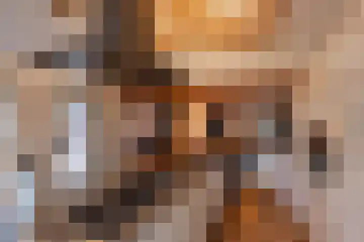 Alinghoek 4 Drouwen thumbnail 16