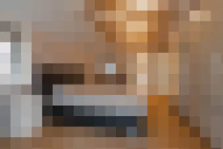 Alinghoek 4 Drouwen thumbnail 20