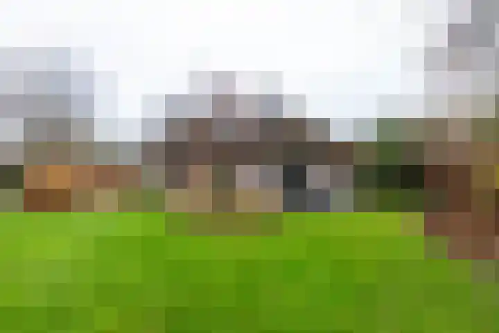 Alinghoek 4 Drouwen thumbnail 31