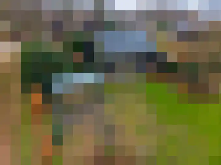 Alinghoek 4 Drouwen thumbnail 33