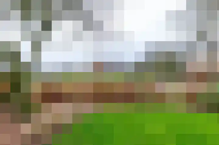 Alinghoek 4 Drouwen thumbnail 4