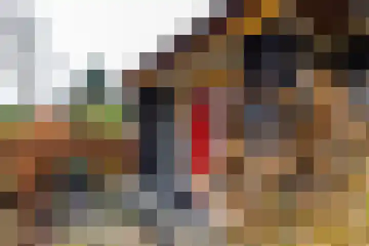 Alinghoek 4 Drouwen thumbnail 5