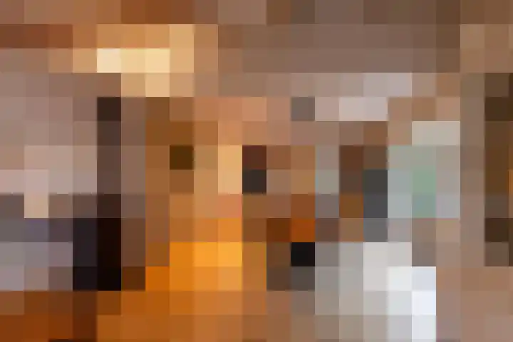 Alinghoek 4 Drouwen thumbnail 9