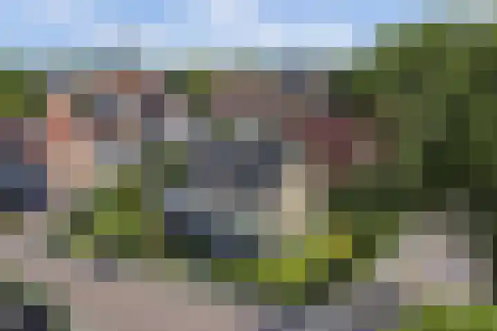 Alingterp 14 Warmenhuizen