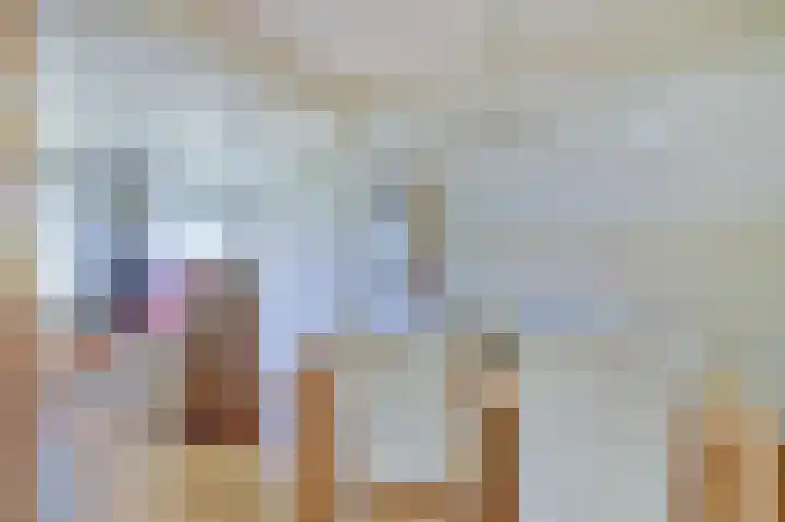 Alingterp 14 Warmenhuizen thumbnail 10