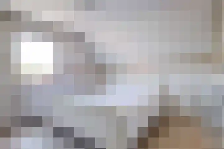 Alingterp 14 Warmenhuizen thumbnail 17