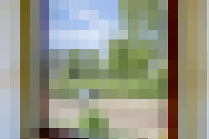 Alingterp 14 Warmenhuizen thumbnail 22