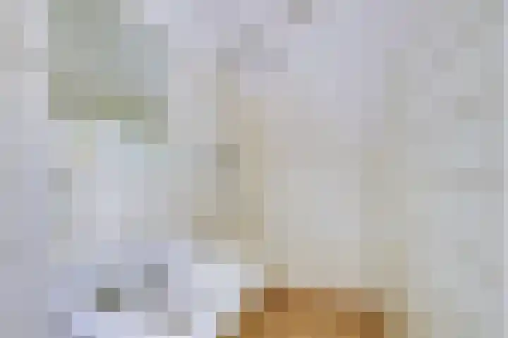 Alingterp 14 Warmenhuizen thumbnail 23