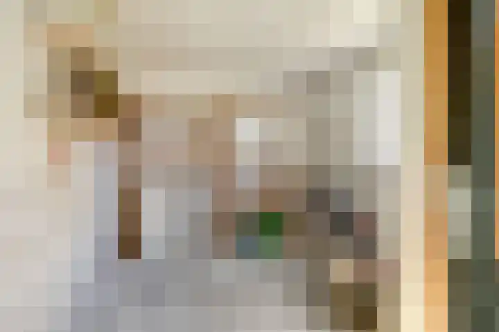 Alingterp 14 Warmenhuizen thumbnail 25