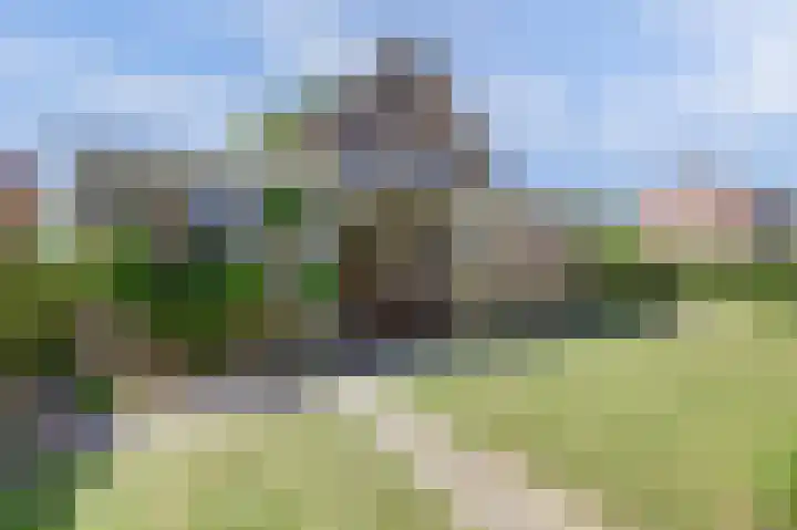 Alingterp 14 Warmenhuizen thumbnail 28