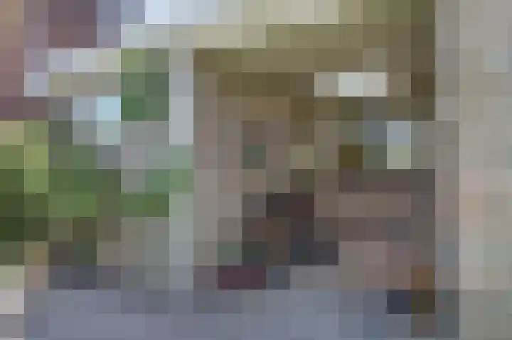 Alingterp 14 Warmenhuizen thumbnail 32