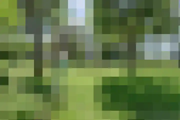 Alingterp 14 Warmenhuizen thumbnail 37
