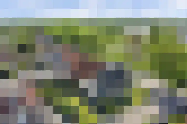Alingterp 14 Warmenhuizen thumbnail 39