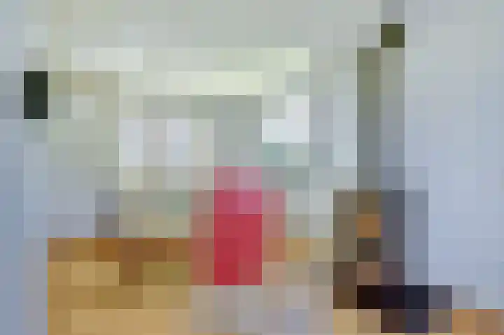 Alingterp 14 Warmenhuizen thumbnail 8