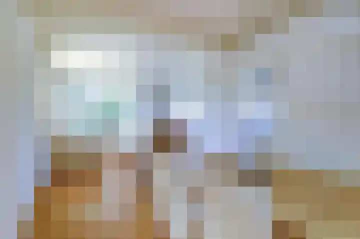 Alingterp 14 Warmenhuizen thumbnail 9