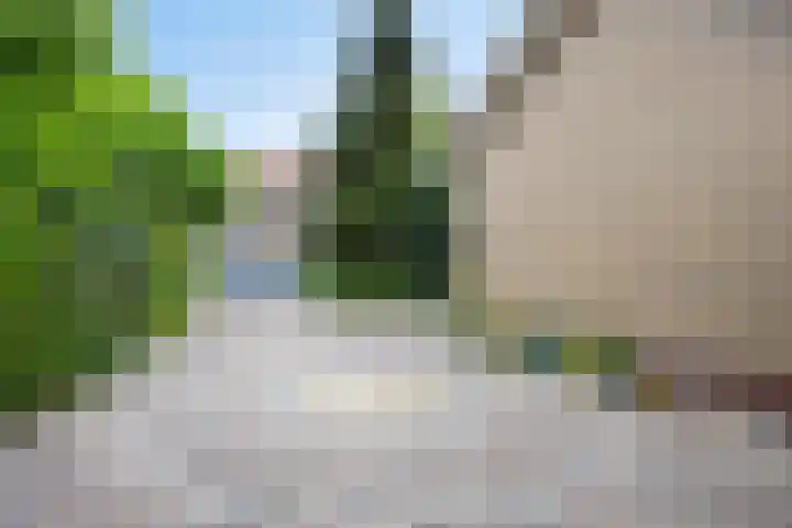 Alingterp 3 Warmenhuizen thumbnail 11