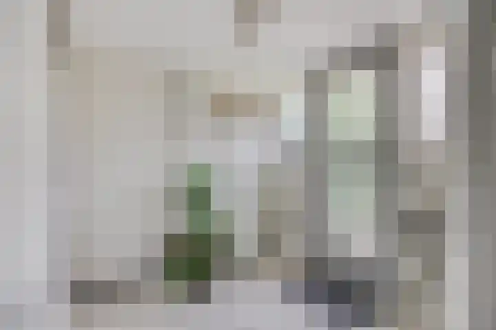 Alingterp 3 Warmenhuizen thumbnail 12