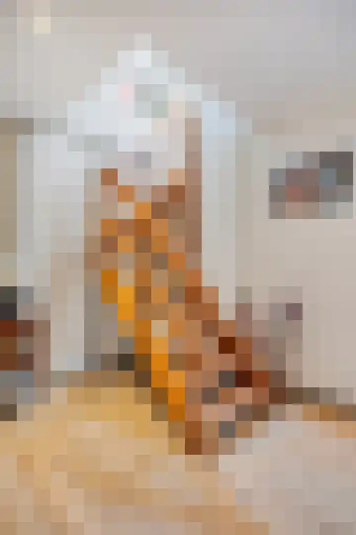 Alingterp 3 Warmenhuizen thumbnail 14